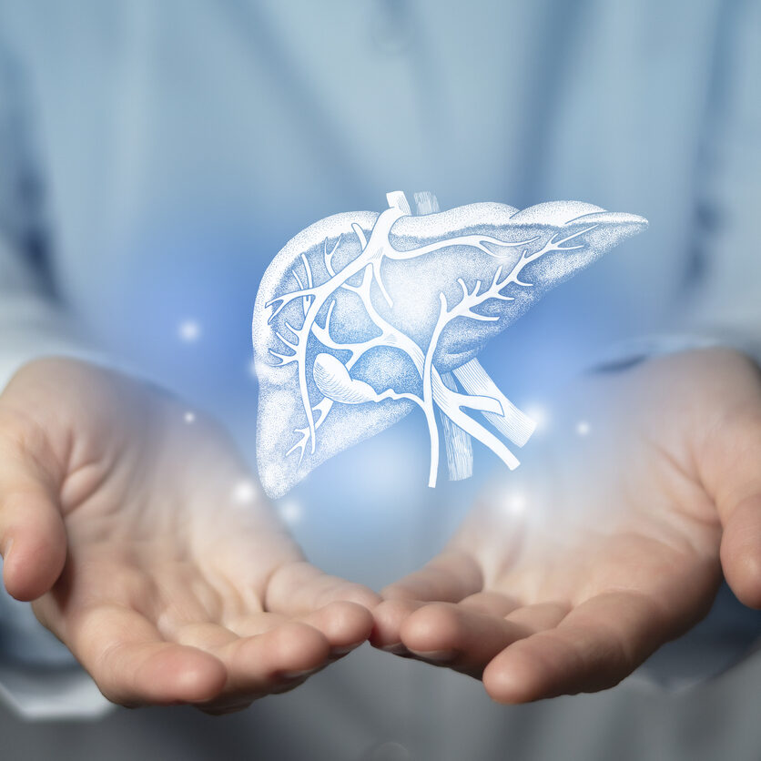 Hepatologist doctor, liver specialist. Aesthetic handdrawn highlighted illustration of human liver. Neutral grey background, studio photo and collage. Liver issues medical concept. Photo of female doctor, empty space.